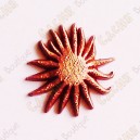Micro Coin "Sunflor" - Bronze