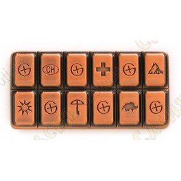 /451-1670-thickbox/geocoin-swiss-geocolate-antique-copper.jpg