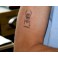 TB Stamp / Tatoo