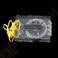 Compass (small)