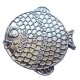 Géocoin "Rainbow Fish" - Girly Silver LE