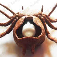 Cache "Bestiole" - Grosse araignée