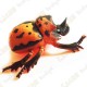 Cache "Insecto" - Gran escarabajo naranja