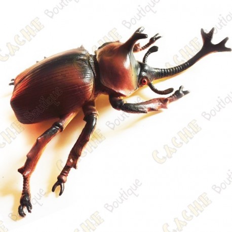 Cache "Insecto" - Gran escarabajo rinoceronte