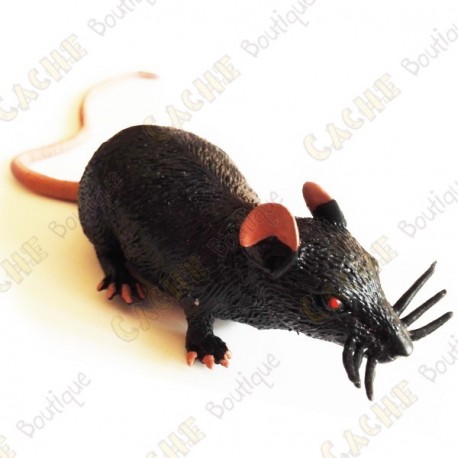 Cache "insect" - Black rat