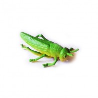 Cache "insect" - Grasshopper