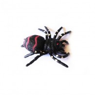 Cache "insect" - Spider