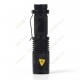 Cree UV zoomable torch