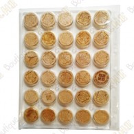 Plastic Wood coins tray - 30 fields