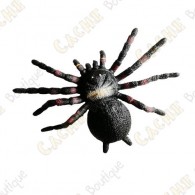Cache "insect" - Medium Spider