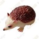 Cache "insect" - Medium Hedgehog