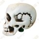 Cache "Thrill" - Skull head