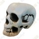 Cache "Thrill" - Skull head