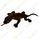 Cache "insect" - Komodo dragon lizard