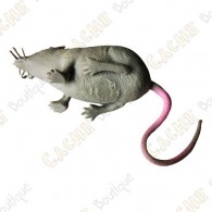 Cache "Bestiole" - Rat gris