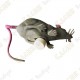 Cache "Bestiole" - Rat gris