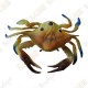 Cache "insect" - Bleu crab