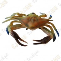 Cache "Bestiole" - Crabe bleu