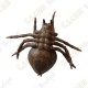 Cache "insect" - Spider