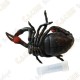 Cache "insect" - Scorpio