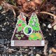2026 CITO Geocoin
