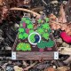 Geocoin CITO 2026